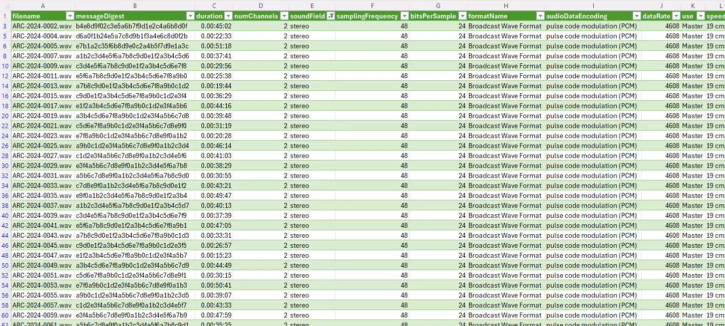 Example of AudioMD technical metadata in spreadsheet format